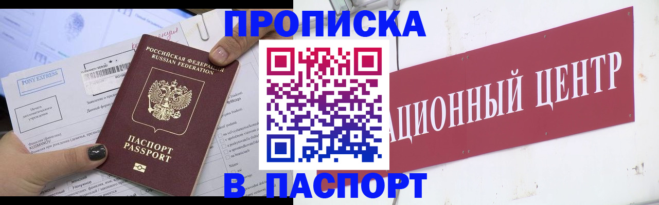 временная регистрация для всех в Змеиногорске